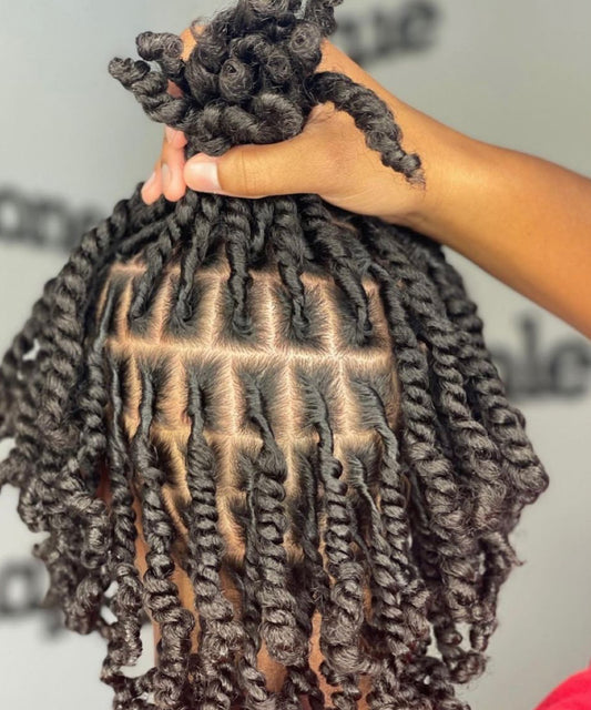Two strand starter locs